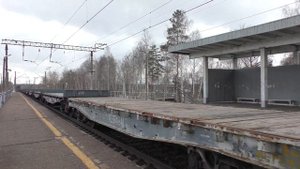 Электровозы ВЛ80С-2099 и 2ЭС5К-347 с грузовыми поездами