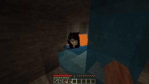 Maxwell the Cat in Minecraft wait what meme part 148