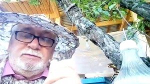 Аква- Фло ( Флювалинат) способы применения.