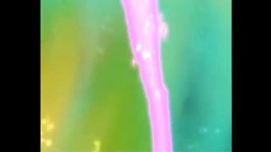 Рокси! первая трансформация в фею