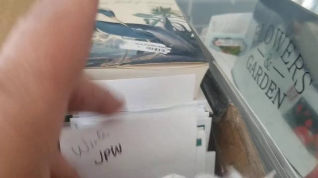 Seed starting white lisianthus.. wait there's more ! смотреть онлайн