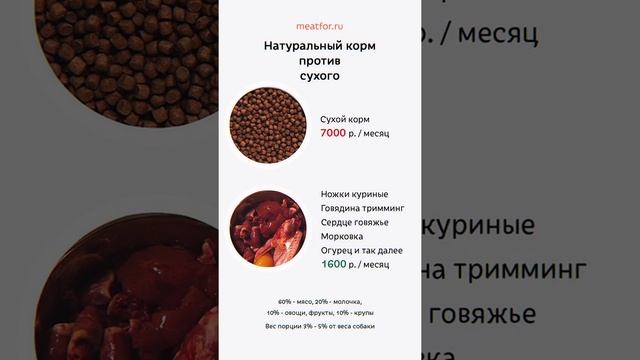 Мясо собаке вместо сухого корма