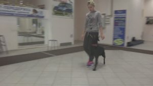 Тренировка нашей команды: подготовка к Чемпионату России по ОКД. Тольятти, 17 августа 2018.