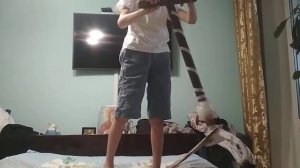 обзор на индо скут