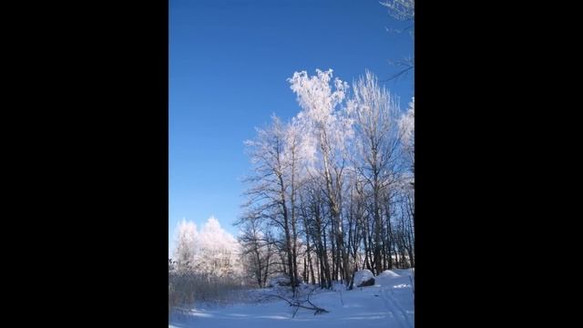 Отрадное. Зимний день смотреть онлайн