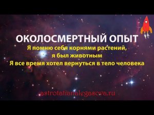 Околосмертный опыт в прошлой жизни я был корнями растений