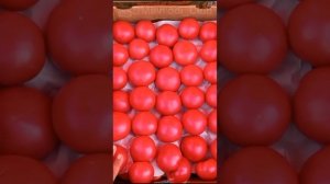 Крым, Симферополь, оптовый рынок Привоз цены от 29.08.23