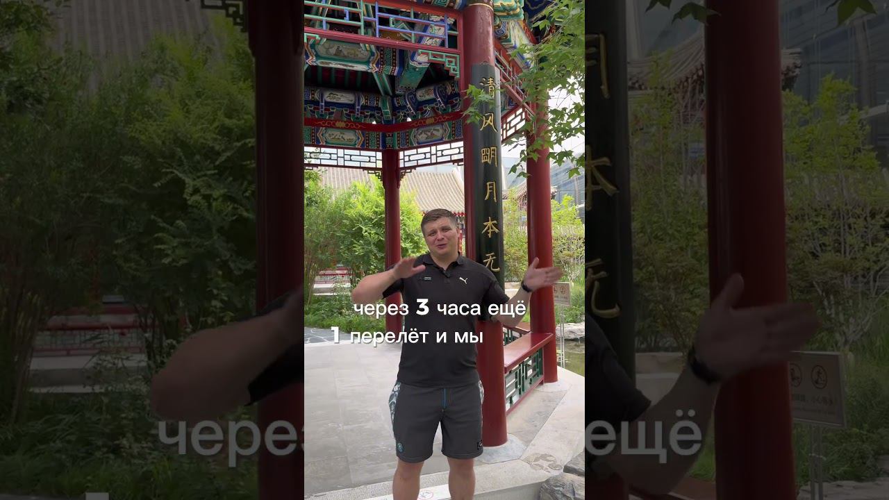 Летим в Корею покупать автомобили! +79223335522 WhatsApp #shorts