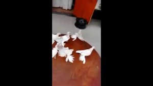 Бойные голуби Казахстана / Pigeons of Kazakhstan (Хасан касымов , Алматы, Казахстан )