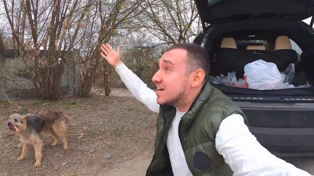 Остался ОДИН ЩЕНОК! Кормим бездомных животных / котята и кошки, щенки и собаки ждут спасение.