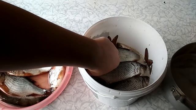 Вяленая плотва своими руками. Пошаговый рецепт засолки плотвы. Рецепт приготовления вяленой рыбы