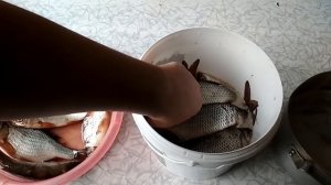 Вяленая плотва своими руками. Пошаговый рецепт засолки плотвы. Рецепт приготовления вяленой рыбы