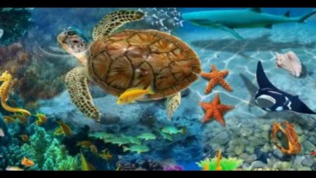 Сказка для детей. ОТВАЖНЫЙ ОСЬМИНОГ