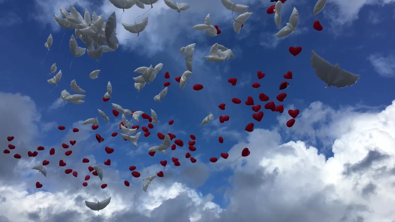 Чувство улетели песня. Шары в небе. Шары и голуби в небе. Белые шары в небе. Воздушные шары голуби.