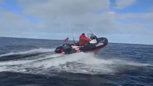 Фортис 450RV Olanium