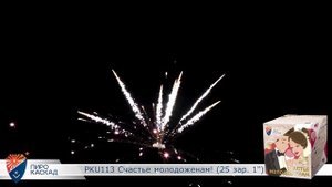 Батарея салютов Счастье молодоженам (25/1) РКU113