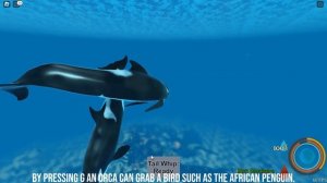 UPCOMING Sea life Roblox Animal Game | ROBLOX