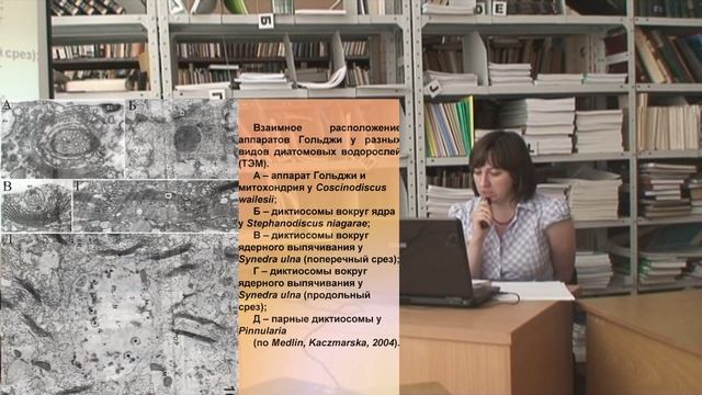 Цитология диатомовых водорослей (Лимнологический институт СО РАН)