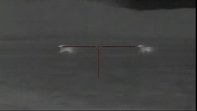 Scanning with Pulsar XD38A смотреть онлайн