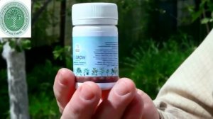 аммофос удобрение