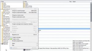 Opera. Как настроить оперу на компьютере?