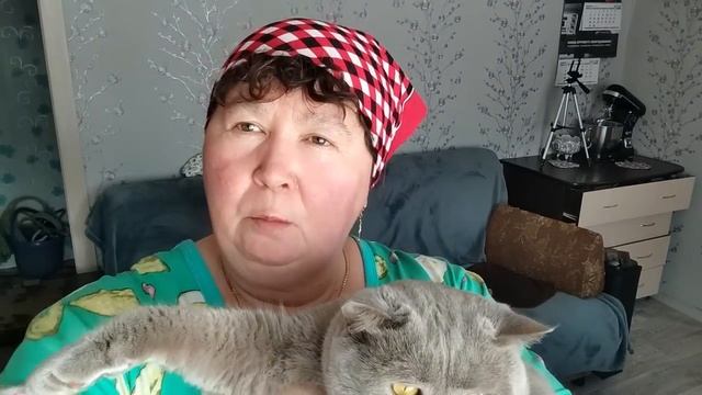 Видео за два дня.23 и 24 февраля. смотреть онлайн