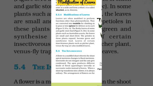 modification of leaves #neetpreparation #ncertlinetoline