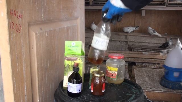 Часть1. Обзор кормов для голубей и различных добавок в рационе. Олег Костяков, г Самара. смотреть онлайн