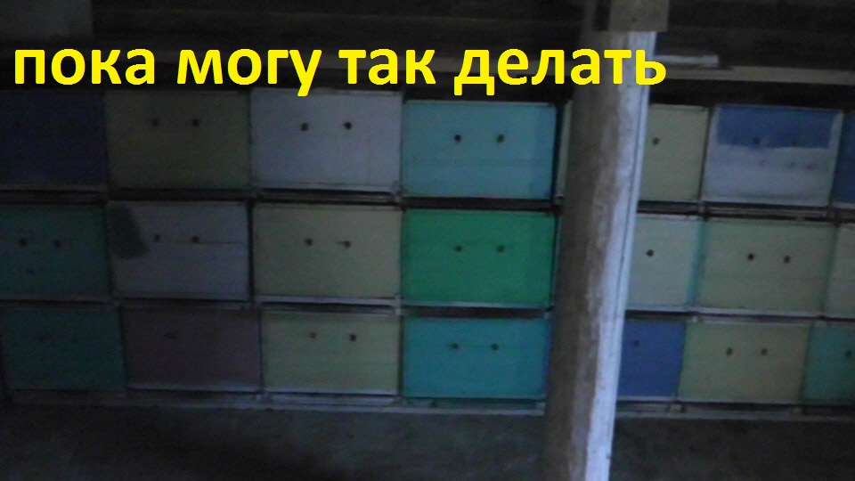потихоньку заношу пчёл в зимовник смотреть онлайн