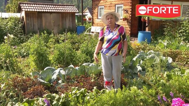 Чем подкормить овощи в августе и сентябре. Универсальное осеннее удобрение Bona Forte