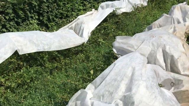 Нет сетки от солнца , простыня сойдёт смотреть онлайн