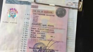 Подбор авто. Как проверить ПТС
