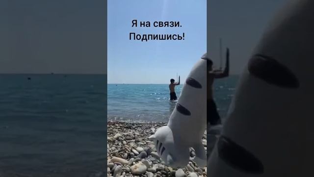 Кот батон танцует на Чёрном море.