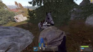 I3 12100 | RTX 2060 12GB | 16GB | RUST