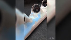 Выполнена перетяжка стоек, под автозвук, лобового стекла Subaru Forester в искусственную замшу Horn