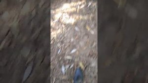 Гость 666 в реальной жизни