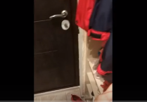 Зеркало на входную дверь. Фальшпанель. Начало.