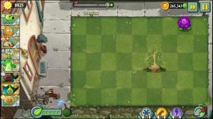 Обзор оливковой ямы (Olive Pit), растение из Plants vs Zombies 2