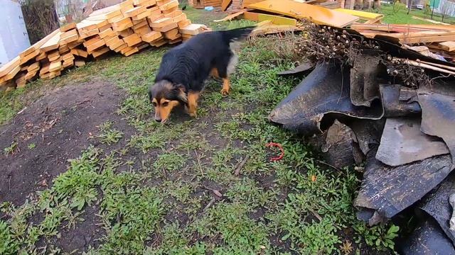 Пиломатериалы на стройке и мои мысли по ним! смотреть онлайн