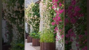 115 ЗАМЕЧАТЕЛЬНЫХ ИДЕЙ ДЛЯ ДАЧИ И САДА!