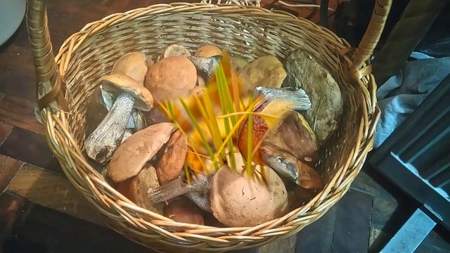 День грибов 15 октября смотреть онлайн