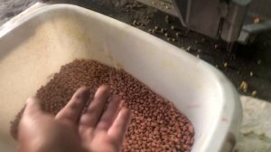 Экструдер для производства кормов для рыбы.