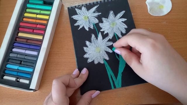 Ромашки.Рисуем вместе!