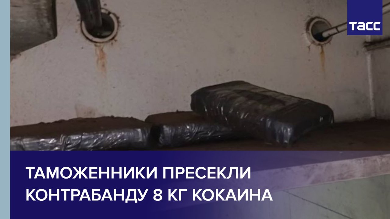 Таможенники пресекли контрабанду 8 кг кокаина #shorts