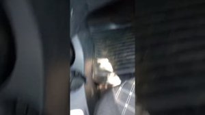 Шум при включение  R АКПП