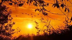 Іво Бобул. Душі криниця