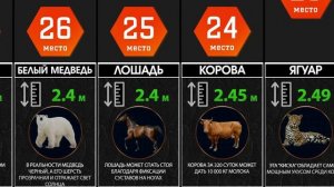 САМЫЕ КРУПНЫЕ И МАЛЕНЬКИЕ СУЩЕСТВА НА ЗЕМЛЕ [ИНФОГРАФИКА]