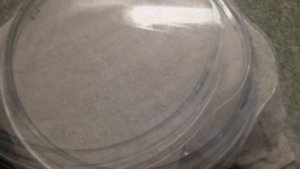 Чай  из листьев черноплодной рябины. Ферментированный чай