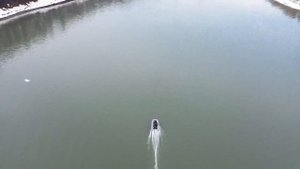 Испытания Лодка Dragon 330 - идеальный выбор для любителей рыбалки и отдыха на воде