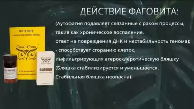 Продукция компании Сово-Сова. 06.08.2022 смотреть онлайн